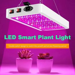 LED Grow Lights 2000W 3000W Double Switch Phytolamp Waterproof Chip Growth Lamp Full Spectrum Plant Box Lighting