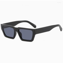 Sunglasses Drop Wholesale Vintage Square Small Frame UV400 Luxury Men Women Glasses Fashion Eyewear With Metal Hinge
