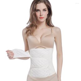 Women's Shapers Women Abdomen With Pure Cotton Maternity Corset Waist Plastic Section Bondage Belt Body Thin Shaping