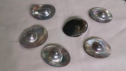 Dangle Earrings Black Mabe Pearl Oval Shape Sea Shell Loose Beads