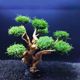 Decorations Aquarium Moss Tree Driftwood Fish Tank Landscaping Water Grass Moss Tree Trunk DIY Decoration No Aquatic Plants 230518