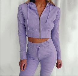 Women's Pants 2023 Casual Homewear Pyjama Suit Spring Women Two Piece Sets Hooded Long-sleeved Zipper Top Outfits Indie Slim