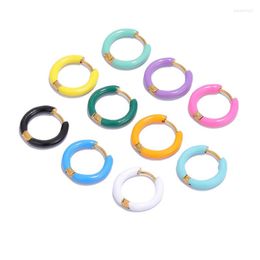 Hoop Earrings 10 Colours 22mm Stainless Steel For Women Simple Multicolor Small Circle Female Daily Jewellery