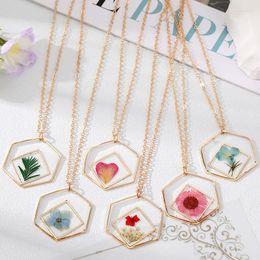 Pendant Necklaces Hexagon Natural Real Dried Flower Leaf Necklace For Women Unqiue Geometric Immortal Floral Plant Party Wedding Jewellery