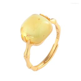 Cluster Rings JZ225 ZFSILVER Silver S925 Fashion Trendy Gold South Red Agate Hetian Jade Amber Bamboo Leaf Square Ring For Women Wedding