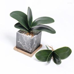 Decorative Flowers 1pc Artificial Green Phalaenopsis Simulation Moth Orchid Leaf Real Latex Touch Plant For Garden Bonsai Decor