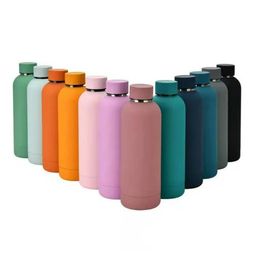 Fast 500ml 17oz Water Bottle Frosted Sports Bottle Double Wall Vacuum Matte Narrow Mouth Outdoor Stainless Steel Water Bottles