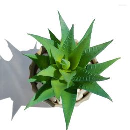Decorative Flowers Simulated Succulent Plants Bonsai Jade Fan Without Flowerpot Natural Artificial Flower Safflower Cactus