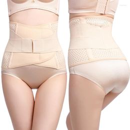 Women's Shapers Belly Band Female Postpartum Repair Binding Corset Body Reduce Girdle Shapewear Stomach Plastic Waist Belt