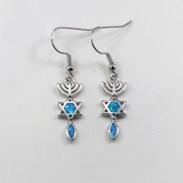 Dangle Earrings JLE-1187 Blue Opal Drop Women's Jewellery Gifts