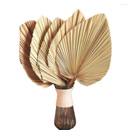 Decorative Flowers 5Pcs 18 Inch Natural Trimmed Palm Spear Tropical Leaves Fans Boho Wedding Decor Hawaiian