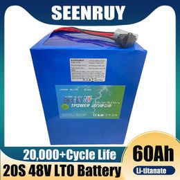 SEENRUY 48V 60AH Lithium Titanate Battery Pack With BMS 20S LTO Battery for 48V 5000W Solar System Bike Scooter E Cart