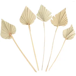 Decorative Flowers 5 Pcs Natural Dried Palm Leaves Dining Table Decor Home House Ornaments Rustic Leaf Artificial Dry Spears