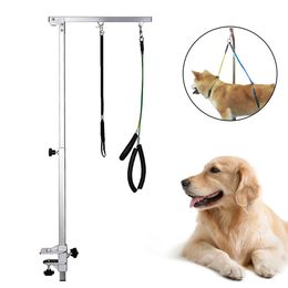 Accessories 1pcs Foldable Stainless Steel Dog Grooming Arm 39 inch Pet Grooming Tool with Clamp Loop Noose For Grooming Table Adjustable