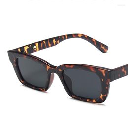 Sunglasses Frames Korean Style Metal Hinge Ladies Small Rectangle Blackout Leopard Print Hip-hop