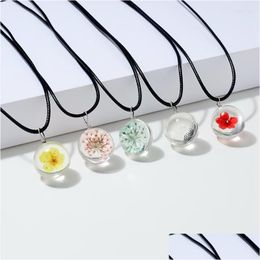Pendant Necklaces Cute Natural Dried Flower Necklace Women Peach Blossom Gypsophila Glass Charm Girl Party Dialy Vintage Jewellery Dro Dh0Hd