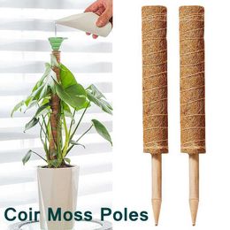 Other Garden Supplies Plant Moss Coir Pole Bendable Plants Climbing Support Extension Palm Vines Stick Indoor Balcony Garden Courtyard Flower Decor G230519