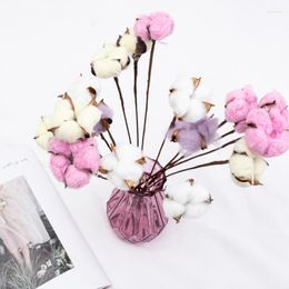 Decorative Flowers 10pcs Natural Cotton Dried Home Furnishings Wedding Decoration White Flower Branch Simple Modern