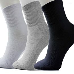 Sports Socks 10 Pairs Men Women Cosy Soft Cotton Blend Sport Ankle Elastic Casual Sock