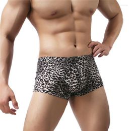 Underpants Mens Underwear Sexy Leopard Boxers Breathable Boxer Shorts Low Rise Bulge Pouch Male Panties Soft Homme Boxershorts