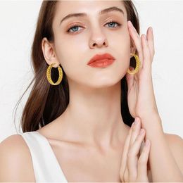 Hoop Earrings Ear Gold Stainless Steel Personality Fried Dough Twists Small Fragrant Round