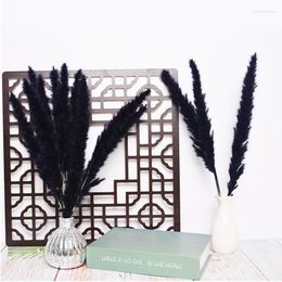 Decorative Flowers High Quality Stylish Rustic Ornament Primary Colour Pampas Grass Natural Reed For Home Wedding Room Decor Black White Gra