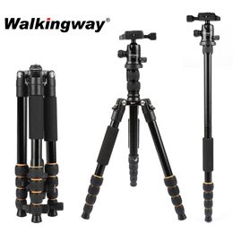 Tripods Q666 Lightweight Camera Tripod Stand Stativ tripode Portable Professional Aluminium Travel Monopod Ball Head Compact for DSLRs 230518