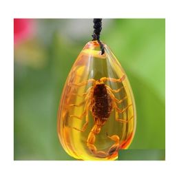 Pendant Necklaces Natural Insect Stone Scorpions Inclusion Genuine Baltic Necklace Special Gift Drop Delivery Jewellery Pendants Dhfia