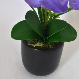 Decorative Flowers 2023 Decoration Simulation Flower Potted Set Piece Eternal Life Silk Bonsai Phalaenopsis Plant