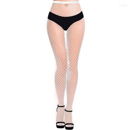 Women's Leggings Women S Glow In The Dark Stockings Fishnet Discoloured Stocking High Waist Tights Hollow Out Pantyhose