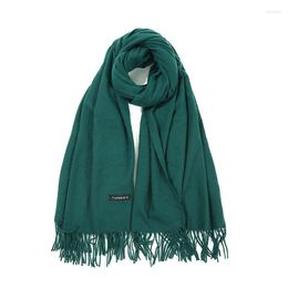 Scarves Autumn Winter Faux Cashmere Fringed Scarf Neck Brace Warm Long Solid Colour Thicken Fashion Outdoor Cycling Soft Women Shawl B56