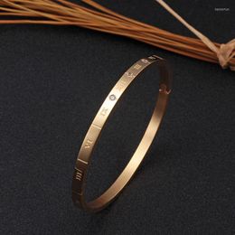 Bangle Cubic Zirconia Woman Bangles&Bracelets Stainless Steel Gold Plating Crystal Roman Letter Wristband Fashion Wedding Party JewelryB