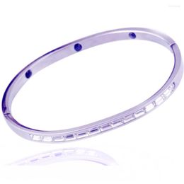 Bangle 316L Stainless Steel Zircon Bangles Women Rhinestone Bracelets