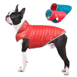 Dog Apparel Winter Clothes Waterproof Reversible Down Cotton Jacket For Small Medium Large Light Weight Contrast Colour Warm Pet Coat