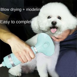 Dryers Professional Multifunctional Modelling Pet Hair Dryer Hairpulling Allinone Dog Artefact Bath Drying Small Dog Grooming
