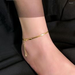 Anklets Trendy Simple Gold Colour Stainless Steel Snake Chain Women Female Fashion Summer Ankle Bracelet Beach Foot Jewellery