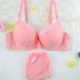Girls Cute Bras Sets Sexy Japanese Student Lovely Bra Set Lingerie Adjustable Lace Embroidery Push Up Fashion Women Underwear Bra 258i