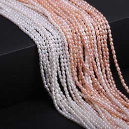 Beads Natural Freshwater Baroque Pearls Beads Rice Shape Loose Beads For DIY Charm Bracelet Necklace Jewellery Making Size 22.5mm