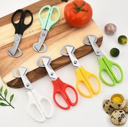 500pcs Quail Egg Scissors Cracker Opener Cigar Cutter Stainless Steel Cutters Opener Shell Kitchen Egg Tool SN784