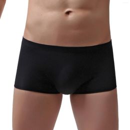 Underpants In Sexy Boxers For Men Casual Traceless Solid Underwear Pant Ultraknickers Mens Cotton