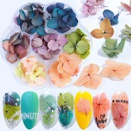 Nail Art Decorations 7 Grid Pressed Dried Flower Decoration Hydrangea Floral Petal DIY Tips Sticker Dry Leaf Decals Gel Polish Manicure Tool