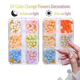 Nail Art Decorations Color-Changed Flower Decors 5petals Japanese Resin Macaroon Florets UV Mix 3D Accessory Kit 3 6mm DecorationNail