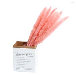 Decorative Flowers 20pcs Decor Wedding Home Small Pampas Reed Grass Dried Natural Phragmites Bouquets 3 Colors