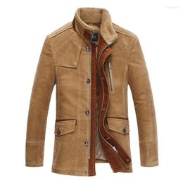 Men's Wool 2023 Nuevo Estilo Invierno Cuello De Piel Oveja Pie Ropa Algodn Acolchado Hombres Pana Pl