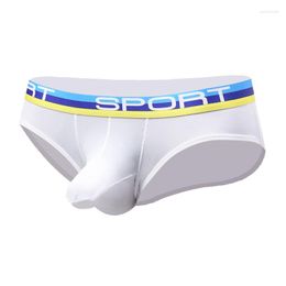 Mens Luxury Underwear Underpants Elephant Nose Sexy Men U Convex Briefs Pouch Breathable Mesh Sexi Shorts Male Cueca Gay Penis Silk Summer Drawers Kecks Thong UL62