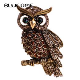 Blucome Vintage Owl Brooch Corsage Scarf Clip Crystal Parrots Brooches Lapel Pin Broches Jewellery Women Lady Sweater Hats Buckles