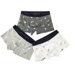 Underpants Tide Brand Printed Men's Underwear Cotton Trend Personality Youth Boxer Shorts Mid-waist Student Comfortable Head