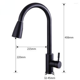 Kitchen Faucets Black Pull-Out Paint Wash Basin Sink Shower Faucet Bathroom Sanitary Ware Universal Pull Down