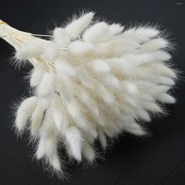 Decorative Flowers Natural Dried Tail Grass Bunch Mini Pampas Real Flower Bouquet Ried Wedding Party Decoration