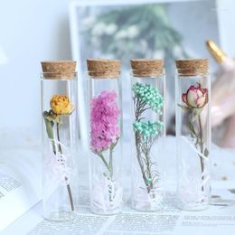 Decorative Flowers Transparent Glass Test-tube Vase Simple Niche Floral Home Decor Ornaments Table Decoration Accessories Dekoration
